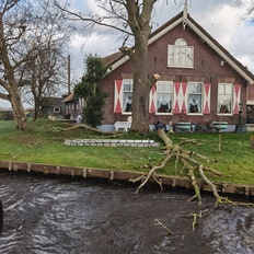 Afbeeldingslocatie: https://tweakers.net/i/uDcVgFKXAUZYbAFsRzwyqhZ6CqM=/232x232/filters:strip_icc():strip_exif()/f/image/S6J13q80W2phVYXROpnkyBI7.jpg?f=fotoalbum_tile