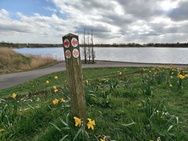 Phone 4a Pro cameratest - Hoofdcamera