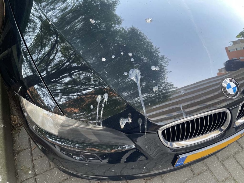 Afbeeldingslocatie: https://tweakers.net/i/uLbPjjF9r5FVvOSLFZZs6LO5LCo=/800x/filters:strip_icc():strip_exif()/f/image/yOp21FovyWioDLi96uQZlUUF.jpg?f=fotoalbum_large