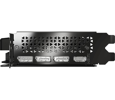 PNY GeForce RTX 5060 Dual Fan