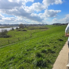 Afbeeldingslocatie: https://tweakers.net/i/uP_jLu5_X1SlhN3VFlv9ArGyGCM=/232x232/filters:strip_icc():strip_exif()/f/image/EFngbirRDUEvf895AQnHt22m.jpg?f=fotoalbum_tile