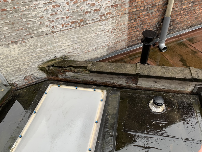 Afbeeldingslocatie: https://tweakers.net/i/uPhk-JWjZ2RcUeGcPwCD_otUz7A=/800x/filters:strip_icc():strip_exif()/f/image/vv0DUyI7dBHaHYdn6Wevbpm2.jpg?f=fotoalbum_large