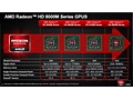 AMD 8000M slides
