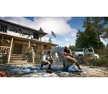 Far Cry 5, PS4