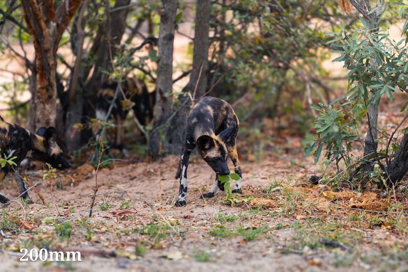 Afbeeldingslocatie: https://tweakers.net/i/uRXYxjhvoIvi1M9px13fHIL3V4U=/800x/filters:strip_icc():strip_exif()/f/image/0uv0CLyC391O8gIah2MmK3N7.jpg?f=fotoalbum_large