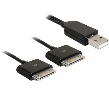 Delock USB 2.0/2 x iPhone