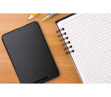 Toshiba STOR.E Basics 320GB Zwart