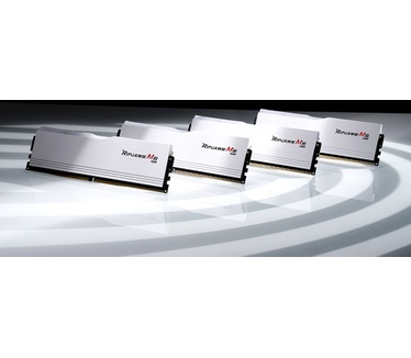 G.Skill F5-6000J3040F16GX2-RM5RW