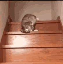 Afbeeldingslocatie: https://tweakers.net/i/uUiH2rJyDe8ZJN4xX2CaM1kKL78=/fit-in/4000x4000/filters:no_upscale():gifsicle():strip_exif()/f/image/L4agbsb96Z6gIChXWcPMYlX0.gif?f=user_large