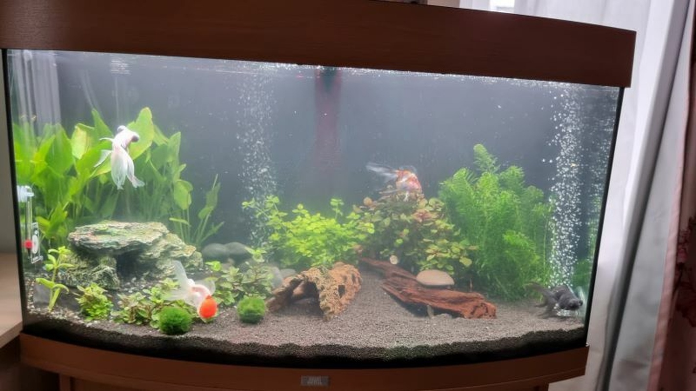 Afbeeldingslocatie: https://tweakers.net/i/uV8lB5RvK67839NNHZ70lwGuQY8=/full-fit-in/4920x3264/filters:max_bytes(3145728):no_upscale():strip_icc():fill(white):strip_exif()/f/image/ZRF3dK6NO562RT3amz3sTy0x.jpg?f=user_large