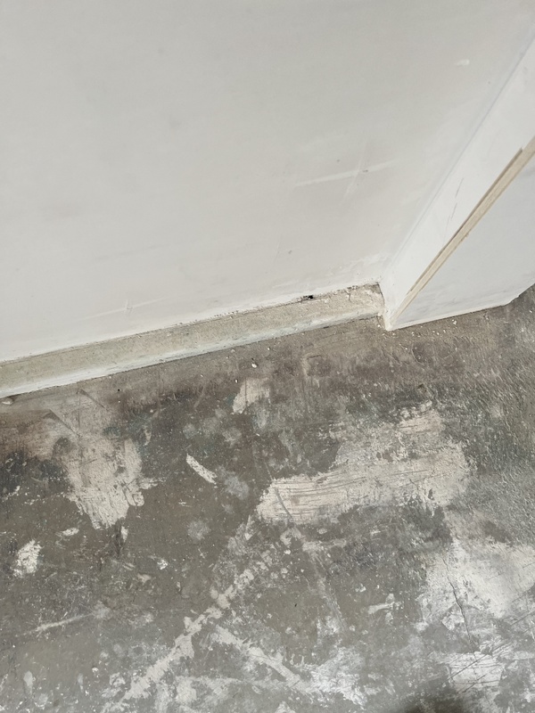 Afbeeldingslocatie: https://tweakers.net/i/uVp4j6BdbEvQcKPiFXAyAYomeEE=/x800/filters:strip_icc():strip_exif()/f/image/0Thflt3IA8HWP9Jc4dW9006Q.jpg?f=fotoalbum_large