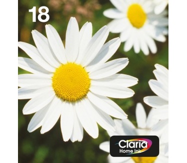 Epson T1806 EasyMail multipack