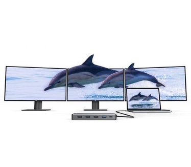 Alogic DV3