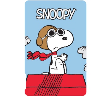 Emtec Power Essentials Snoopy