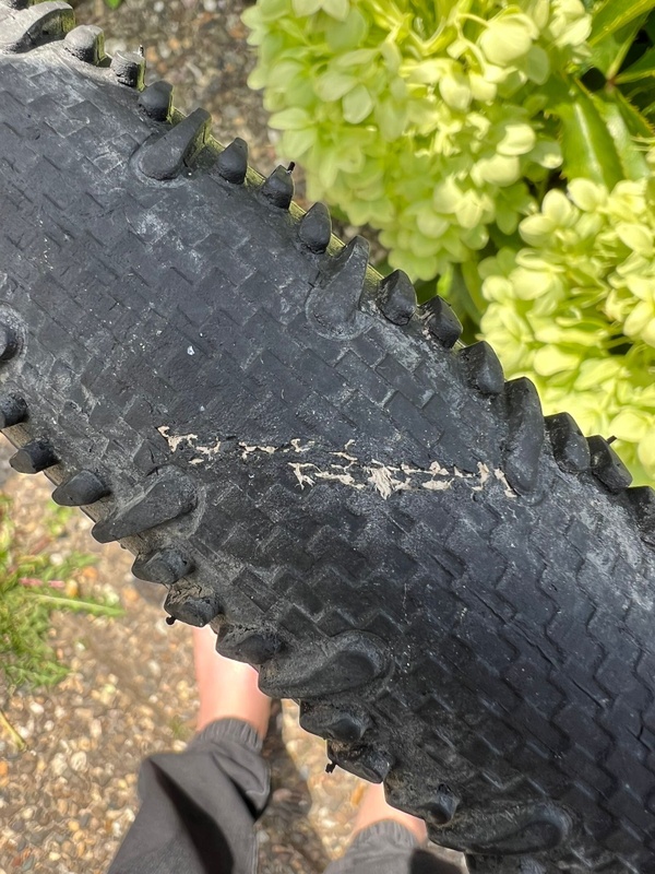 Afbeeldingslocatie: https://tweakers.net/i/udwJLCbjazRDu4XjKkenwFCVHsY=/x800/filters:strip_icc():strip_exif()/f/image/8kXDLUk4pBFLHLYE8gKExMI3.jpg?f=fotoalbum_large