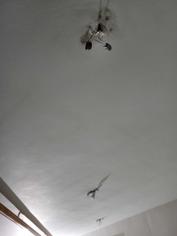 Afbeeldingslocatie: https://tweakers.net/i/ufEa9PACrlh-Rw1gmzeuX_rEEXs=/x800/filters:strip_icc():strip_exif()/f/image/aSBbCVErvJq0uey9RLfTgoLQ.jpg?f=fotoalbum_large