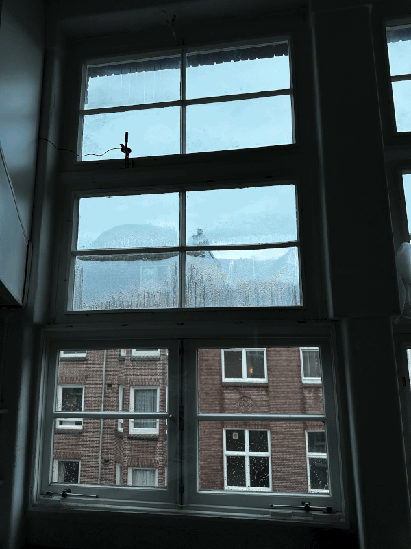 Afbeeldingslocatie: https://tweakers.net/i/ufky4rpVXapV4V5rexyBx0rk-BE=/x800/filters:gifsicle():strip_exif()/f/image/TVtcPevqIAKZQ6RBZdGlsVru.gif?f=fotoalbum_large