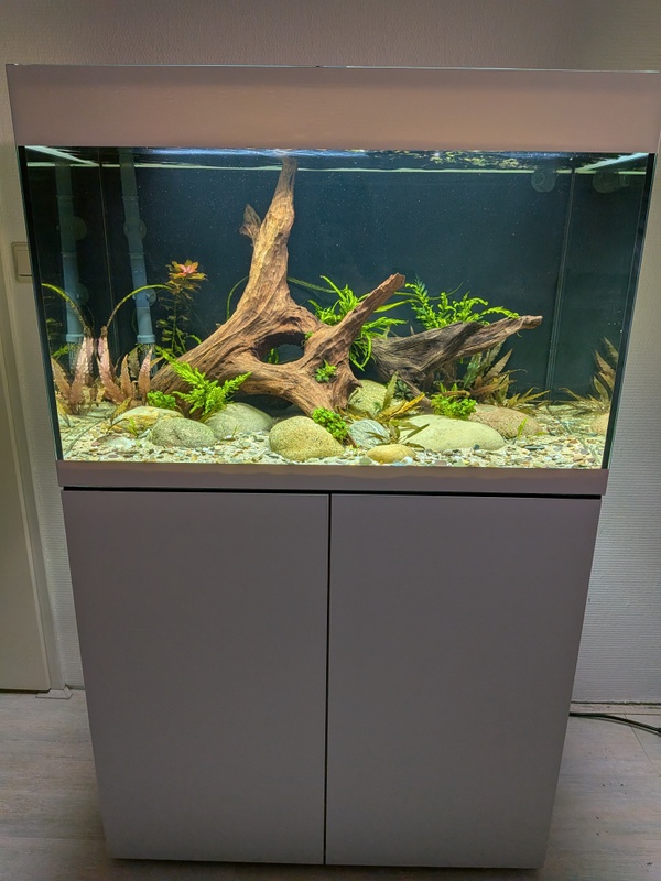 Afbeeldingslocatie: https://tweakers.net/i/ug7THj_QvKdVapMBHHztYsExYy0=/x800/filters:strip_icc():strip_exif()/f/image/Nb1yNdUzGmZca0kMbXliWfwP.jpg?f=fotoalbum_large