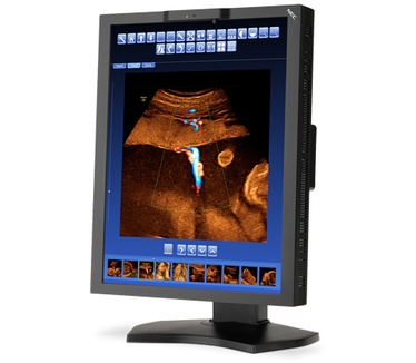 NEC MD210C2