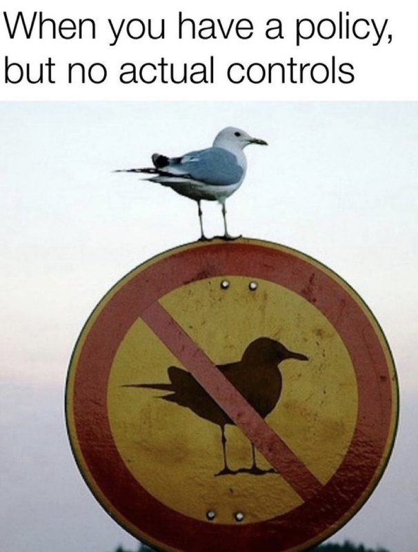 Afbeeldingslocatie: https://tweakers.net/i/uhjg7j788PbsmJKEEZkFixBu1v0=/x800/filters:strip_icc():strip_exif()/f/image/uWTd7UHC9sGdKlUcZfDmV8Iu.jpg?f=fotoalbum_large