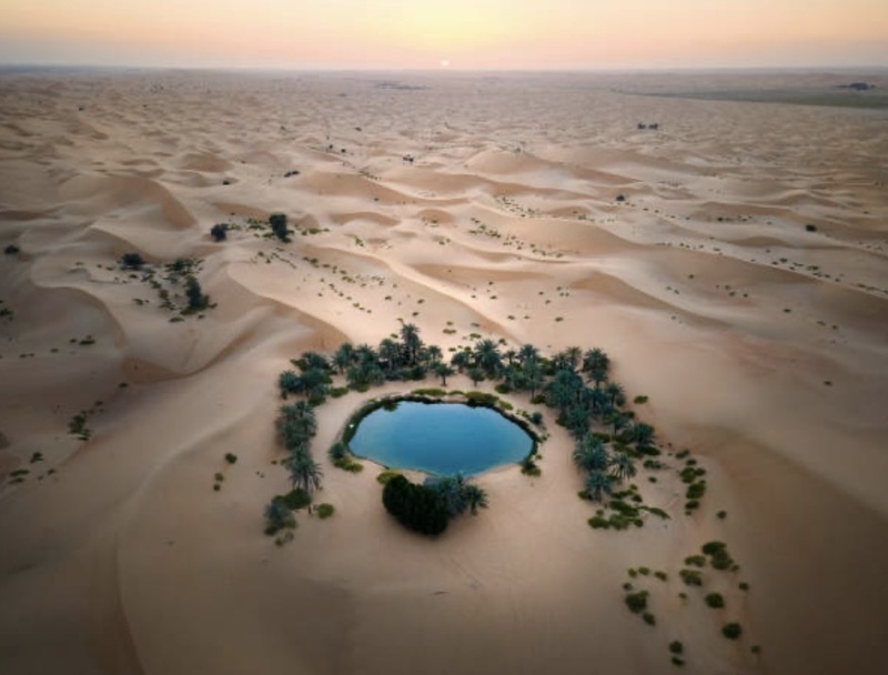 Afbeeldingslocatie: https://tweakers.net/i/uiW2mbQK4OMXvrO94r1GJ5-G5_s=/800x/filters:strip_icc():strip_exif()/f/image/FmFZgX2rC3kxZWv70lZHckvh.jpg?f=fotoalbum_large