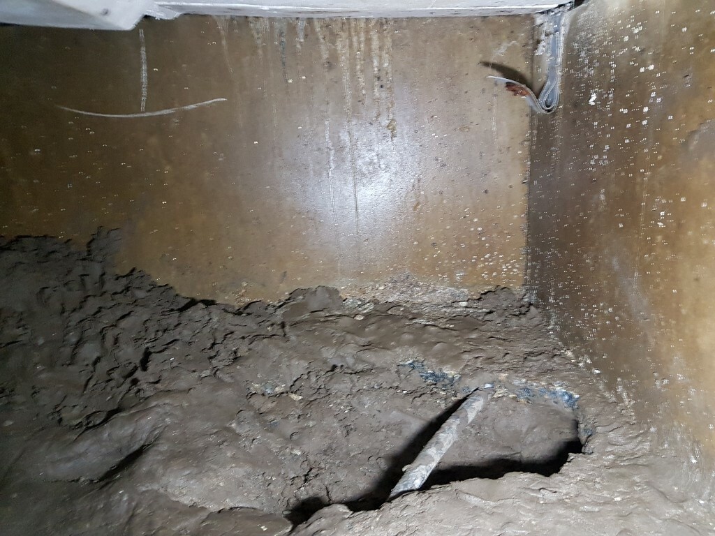 Afbeeldingslocatie: https://tweakers.net/i/uj6DcH_nctBoWCu0cwHQnN8XrPw=/full-fit-in/4920x3264/filters:max_bytes(3145728):no_upscale():strip_icc():fill(white):strip_exif()/f/image/b2G29QGNX8MNwDEFgHgAhuhu.jpg?f=user_large