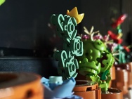 Cameratest - 2x zoom