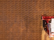 Real Farm Sim