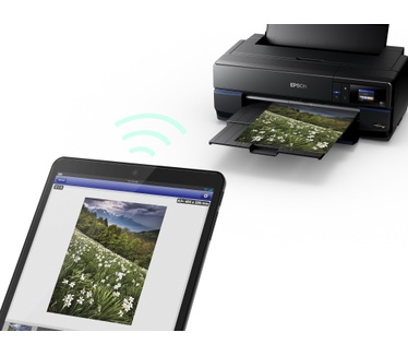 Epson SureColor SC-P800