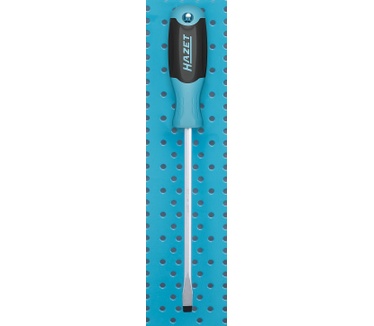Hazet 811-T10