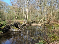 Huawei P40 Pro camerasamples overdag