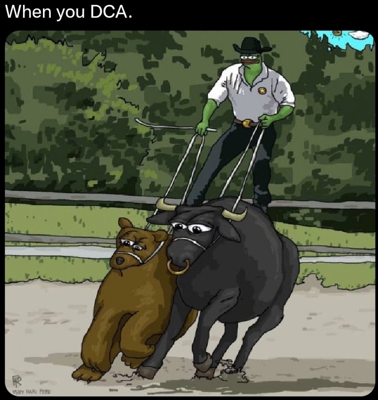 Afbeeldingslocatie: https://tweakers.net/i/uw9hQPQCdjl9egap9TXIxN5Rp90=/x800/filters:strip_icc():strip_exif()/f/image/Eh01SMpNxZWroPBgrGKKjJ2P.jpg?f=fotoalbum_large