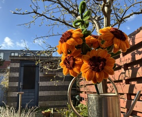 iPad Air 2026 camera - Achter