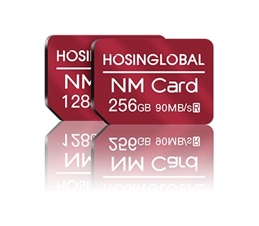 Hosinglobal NM Card 256GB