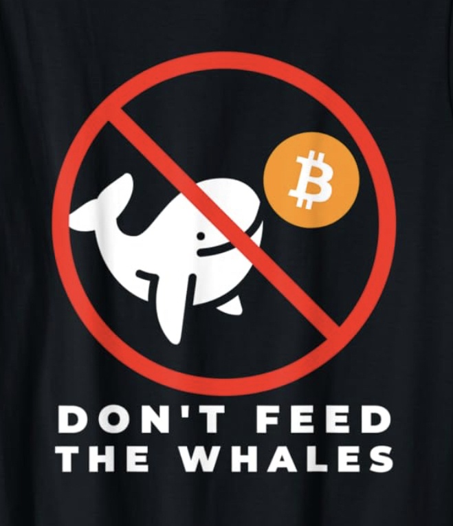 Afbeeldingslocatie: https://tweakers.net/i/v-y5fhi4-LhAkI-R6CKXfAAwOQw=/full-fit-in/4920x3264/filters:max_bytes(3145728):no_upscale():strip_icc():fill(white):strip_exif()/f/image/CckyDlsFtfZ6EjxDhh7TV8Gp.jpg?f=user_large