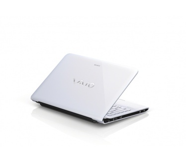 Sony Vaio SVE1111M1E