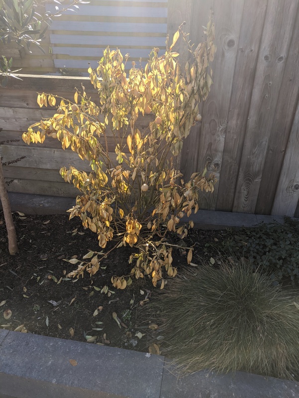 Afbeeldingslocatie: https://tweakers.net/i/v4cZKYuPipUBtf8yOSeJEdYXlEo=/x800/filters:strip_icc():strip_exif()/f/image/02IgPWaPaytEmTBWEASfOmeP.jpg?f=fotoalbum_large