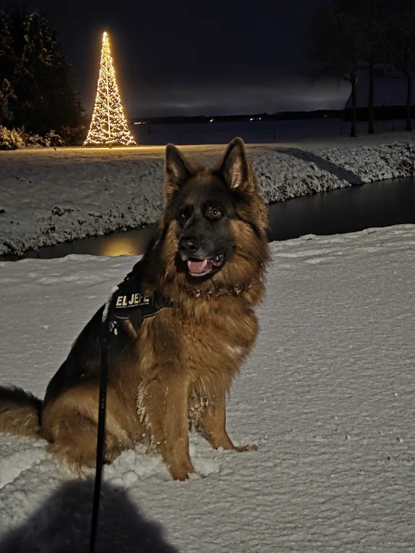 Afbeeldingslocatie: https://tweakers.net/i/v5-Yh8ln_1sz2cMPsoubut_vrkE=/x800/filters:strip_icc():strip_exif()/f/image/zfgYPUk7H3XtjDLPZLVn9LtR.jpg?f=fotoalbum_large