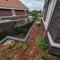 Afbeeldingslocatie: https://tweakers.net/i/v5DbMBW6V4CCJiMVyu3dAE8oUB4=/232x232/filters:strip_icc():strip_exif()/f/image/Dzj1SSsu2lmbxDjCu6qfFBr3.jpg?f=fotoalbum_tile