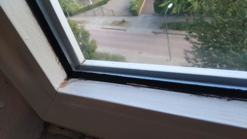 Afbeeldingslocatie: https://tweakers.net/i/v7FdPaXlnV2v6Ot1jR9_BEjdPI0=/800x/filters:strip_icc():strip_exif()/f/image/OwFvnl9HKapPoiHg21PA2BwD.jpg?f=fotoalbum_large