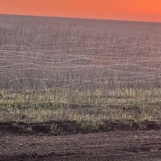 Afbeeldingslocatie: https://tweakers.net/i/v8bZCATS8lSKnaFUw7IQyo8WDUs=/232x232/filters:strip_icc():strip_exif()/f/image/GiDAx1WmQt3W0VVRXVu4dnVS.jpg?f=fotoalbum_tile