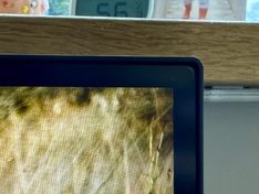Afbeeldingslocatie: https://tweakers.net/i/vAWPhVfmCpP4B5w586fuhqNRAvk=/234x176/filters:strip_icc():strip_exif()/f/image/IRc1WrCChYNucpZvZaIX6DoV.jpg?f=fotoalbum_medium