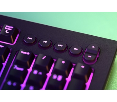 Razer Cynosa V2