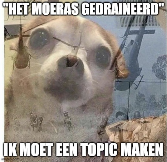 Afbeeldingslocatie: https://tweakers.net/i/vBMkRJEX0AajsOgFcyfdsFaiYlo=/full-fit-in/4920x3264/filters:max_bytes(3145728):no_upscale():strip_icc():fill(white):strip_exif()/f/image/QDCtBfNo6NOPe0tb0FEqFB8K.jpg?f=user_large