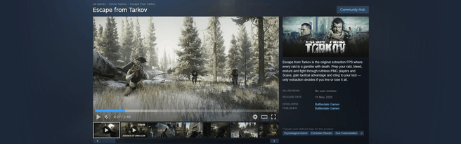 Escape from Tarkov Steam