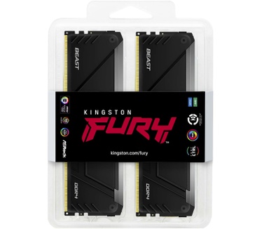 Kingston Beast RGB
