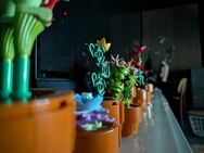 Cameratest - Primair