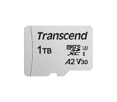 Transcend USD300S