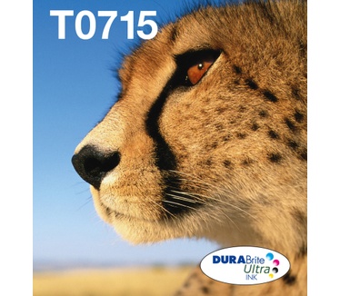 Epson T071 EasyMail multipack