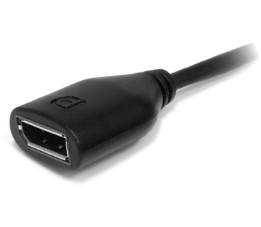 Startech.com 15cm Mini DisplayPort naar DisplayPort Video Verloopkabel - M/F